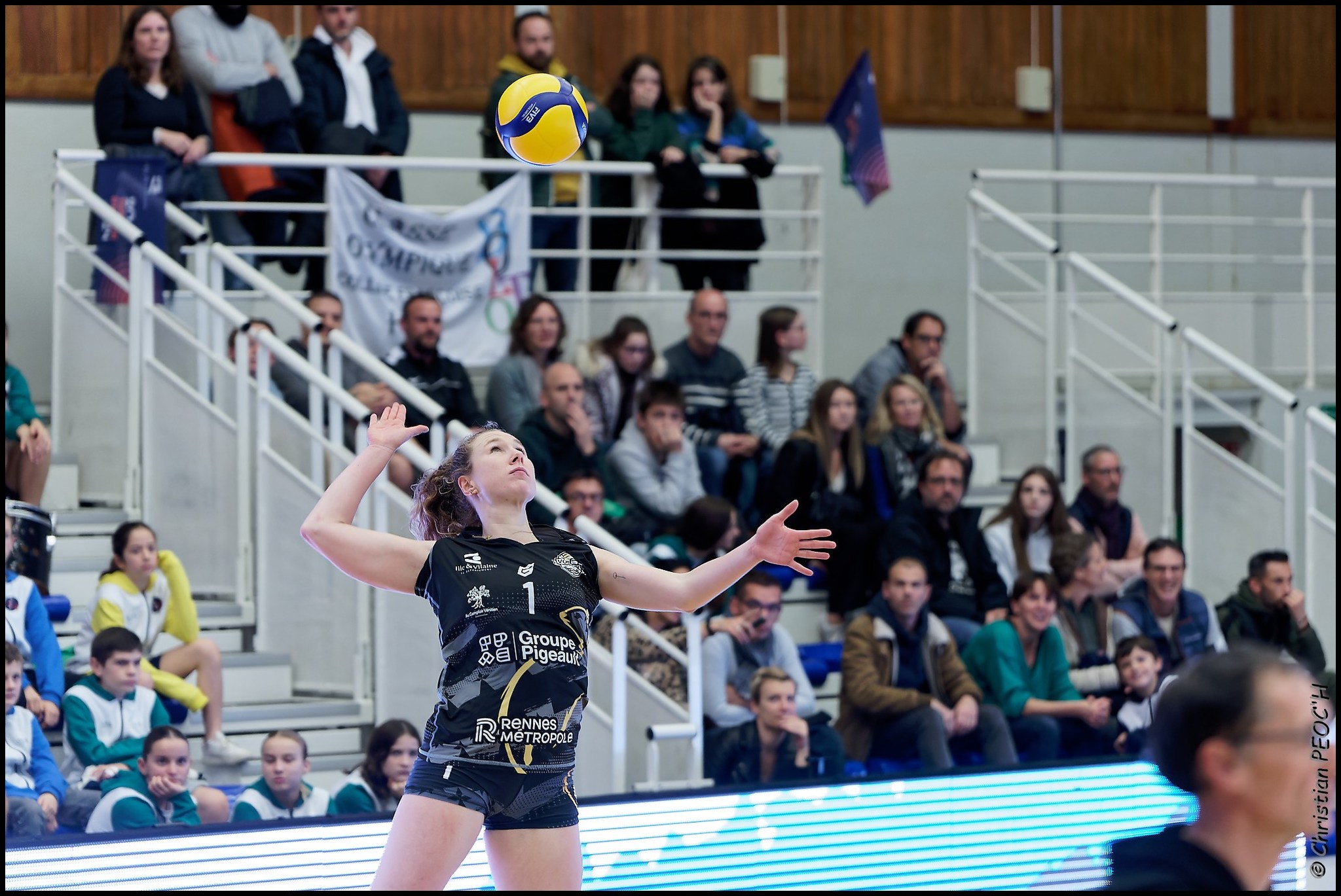 Volley Elite Féminines