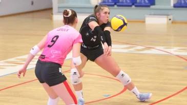 Img 3163 2048x1365