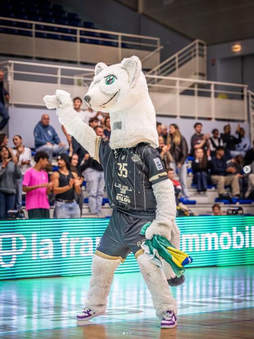 Mascotte Rec Volley 1